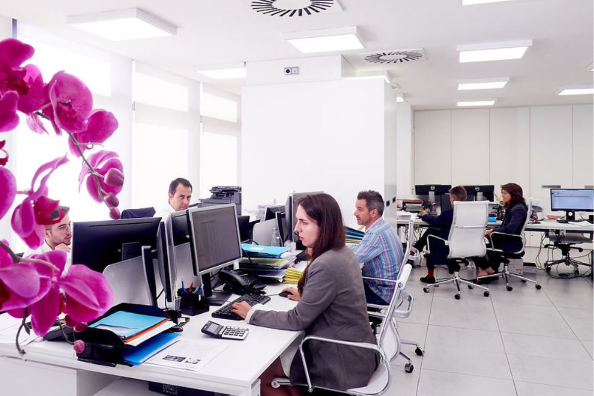 Patrimonio y Holding